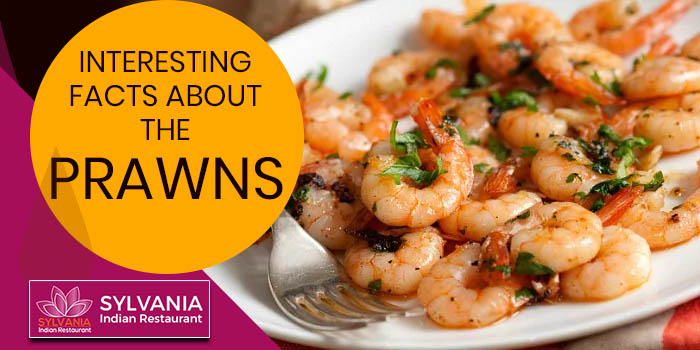 Interesting facts about the prawns