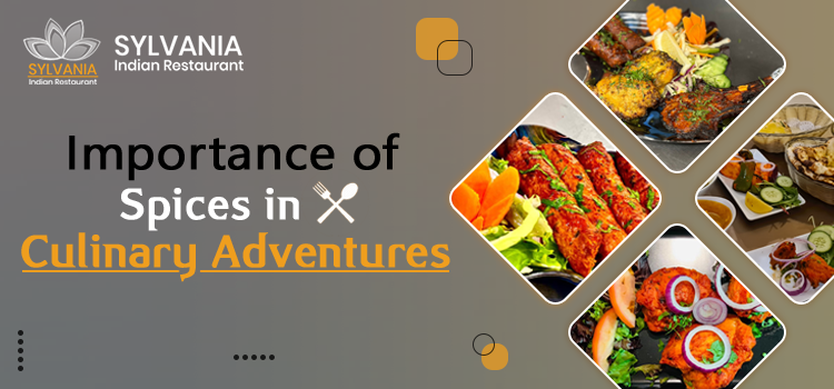 Importance of Spices in Culinary Adventures